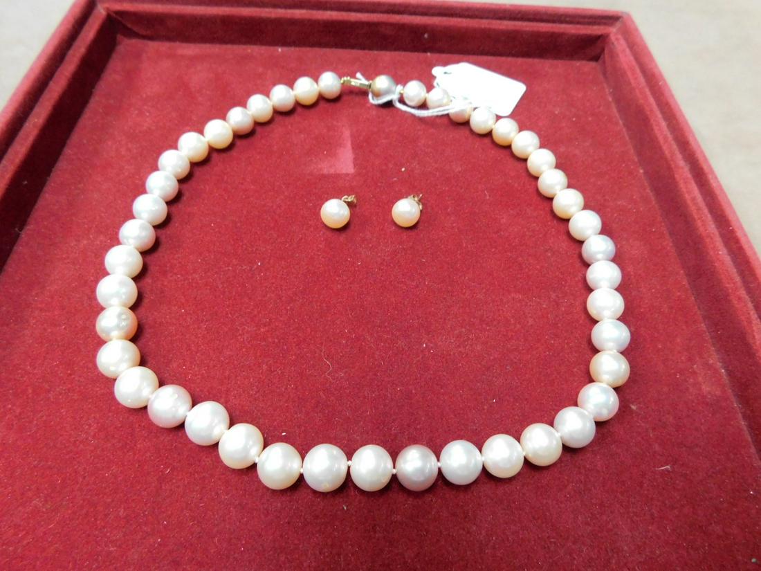 Gold & Pearl Necklace & Earrings: Gold and Pearl Necklace and Earrings, 14k yellow gold clasp on a 17 1/2" fresh water pearl necklace, having 10 1/2 mm white and champagne pearls individually knotted; plus a pair of 9mm stud earrings;