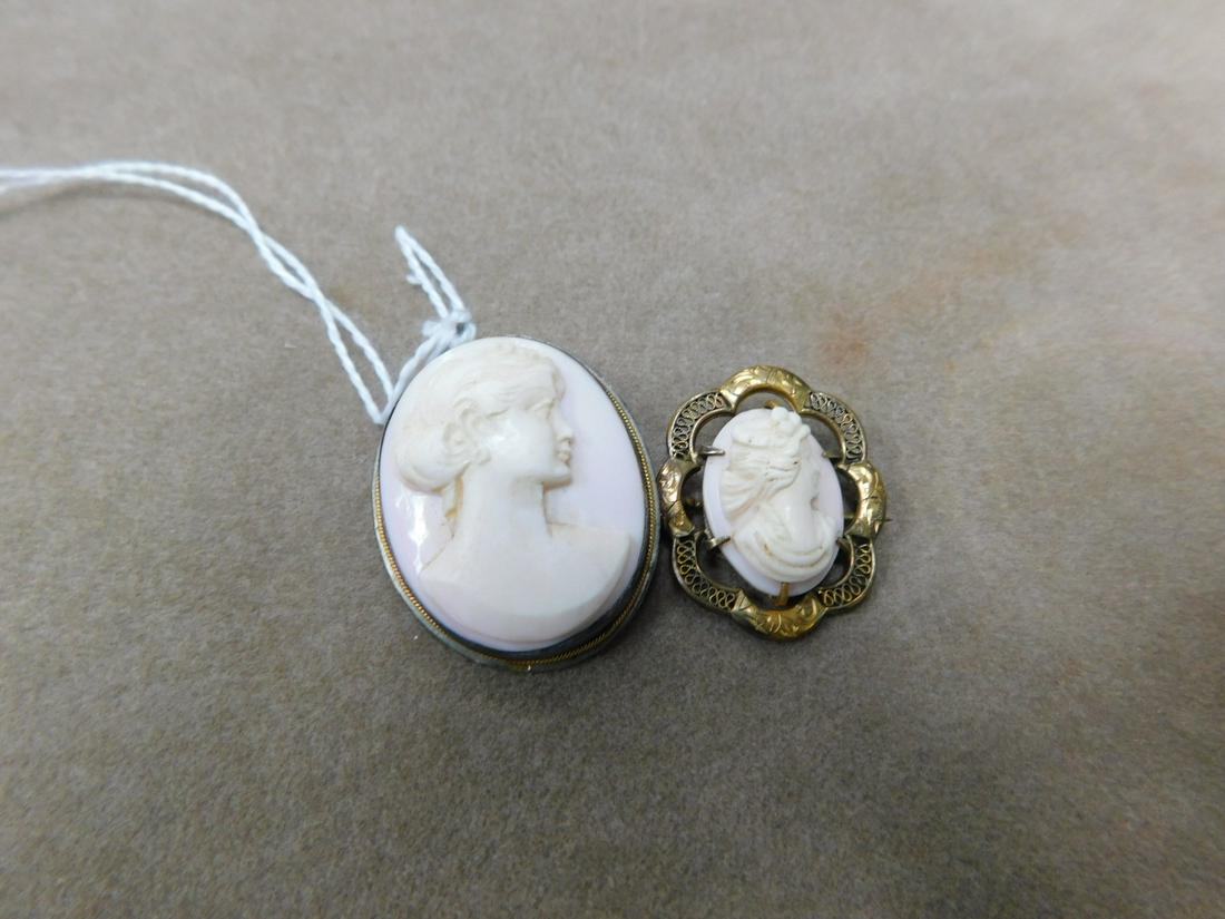 2 Cameo Pins (1 of 1)