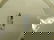 Three Japanese Porcelain Fish Chargers - 8