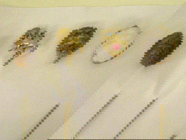 Four Vintage Stick Pins: Four vintage stick pins, 10k w/hard stone cameo, standing, lion tests 10k, gold filled lion face w/stones, tiger eye bearded man.