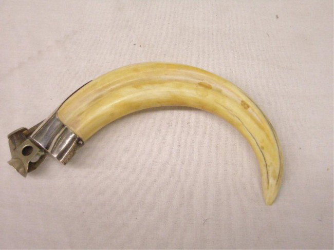 Antique Ivory Tusk Cigar Cutter: Antique ivory Boar's tusk 7" cigar cutter w/925 silver mount. No International shipping for this item.