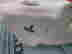 item-131380195=3