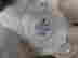 item-131380219=6
