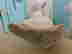item-131380221=4