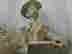 item-131380228=4