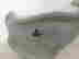 item-131380242=3
