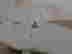 item-131380242=6