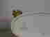 item-131380272=2