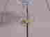 item-131380384=3