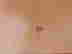 item-131832827=2