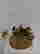 item-133249248=2