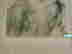 item-133249381=10