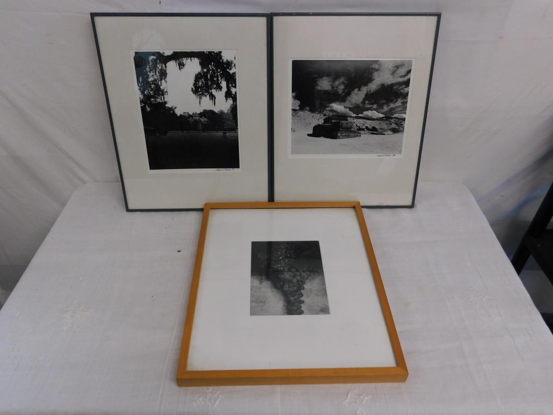 3 Dorothy W. Faul Photographs: Three Dorothy W. Faul Photographs, includes: grapes 9" x 7 1/2" unsigned wood frame 20 1/2" x 17 1/4", Villa with carriage 11 3/4" x 9 1/2", signed "78", metal frame 20 1/4" x 16 1/4', and Ancient rui