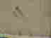 item-133249403=8