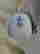 item-137205597=6