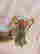 item-137205631=4