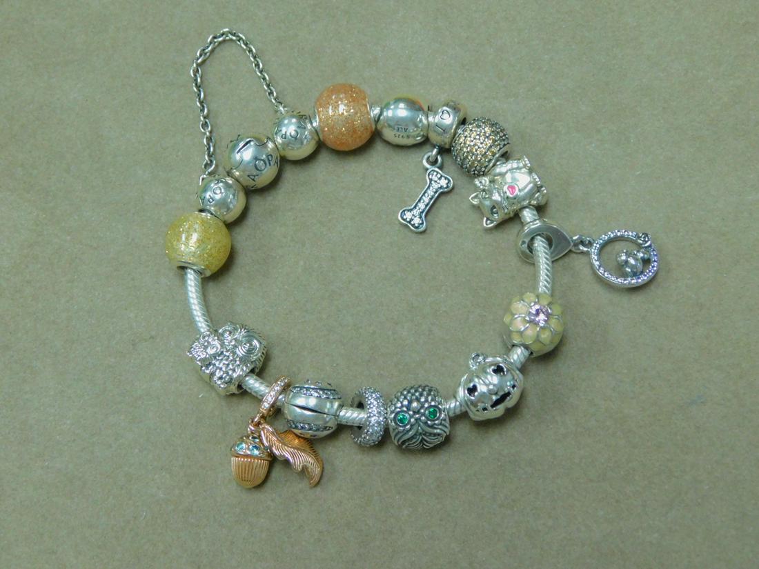Pandora Sterling Charm Bracelet (1 of 1)