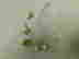item-137205928=2