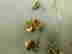 item-137205928=3