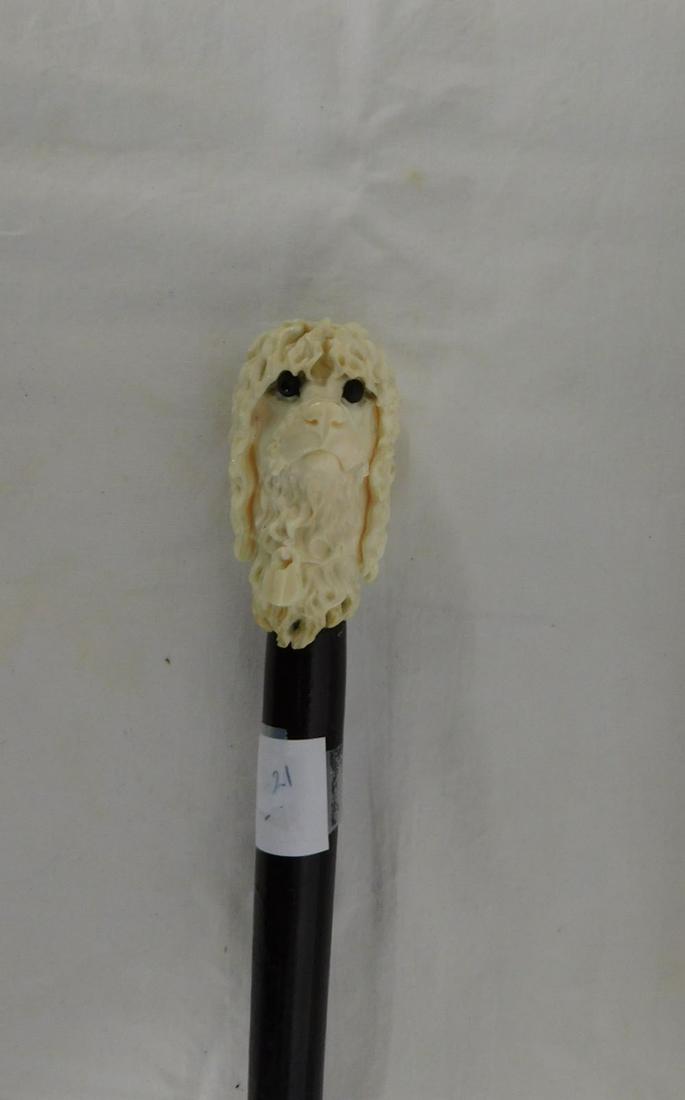Poodle Handle Cane: Poodle Handle Cane: Handle: Bone detailed relief poodle head with a lock on its collar, glass eyes, 2 1/2"l. Collar: None. Shaft: Dark hardwood. Ferrule: steel and iron. Length: 33 3/8". Vintage: Earl