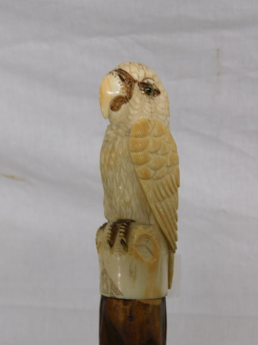 Parrot Head Cane: Parrot head cane. Handle: Sculpture carved parrot on tree stump, glass eyes; monogrammed "JBP"; L 4". (47) Collar: None. Shaft: thick heavily knobbed. VERY IMPORTANT NOTE: NO NY, NJ, CA, WA OR INTERNA
