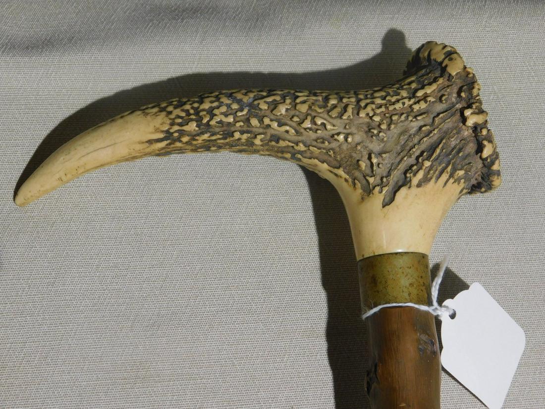 Large Stag Handle Cane: Large stag handle cane. Handle: 'L' form stag handle with polished end monogramed illegibly, L 7 3/4". (55). Collar: brass. Shaft: natural knobbed wood branch. Ferrule: Brass. Length: 36". Vintage: 19