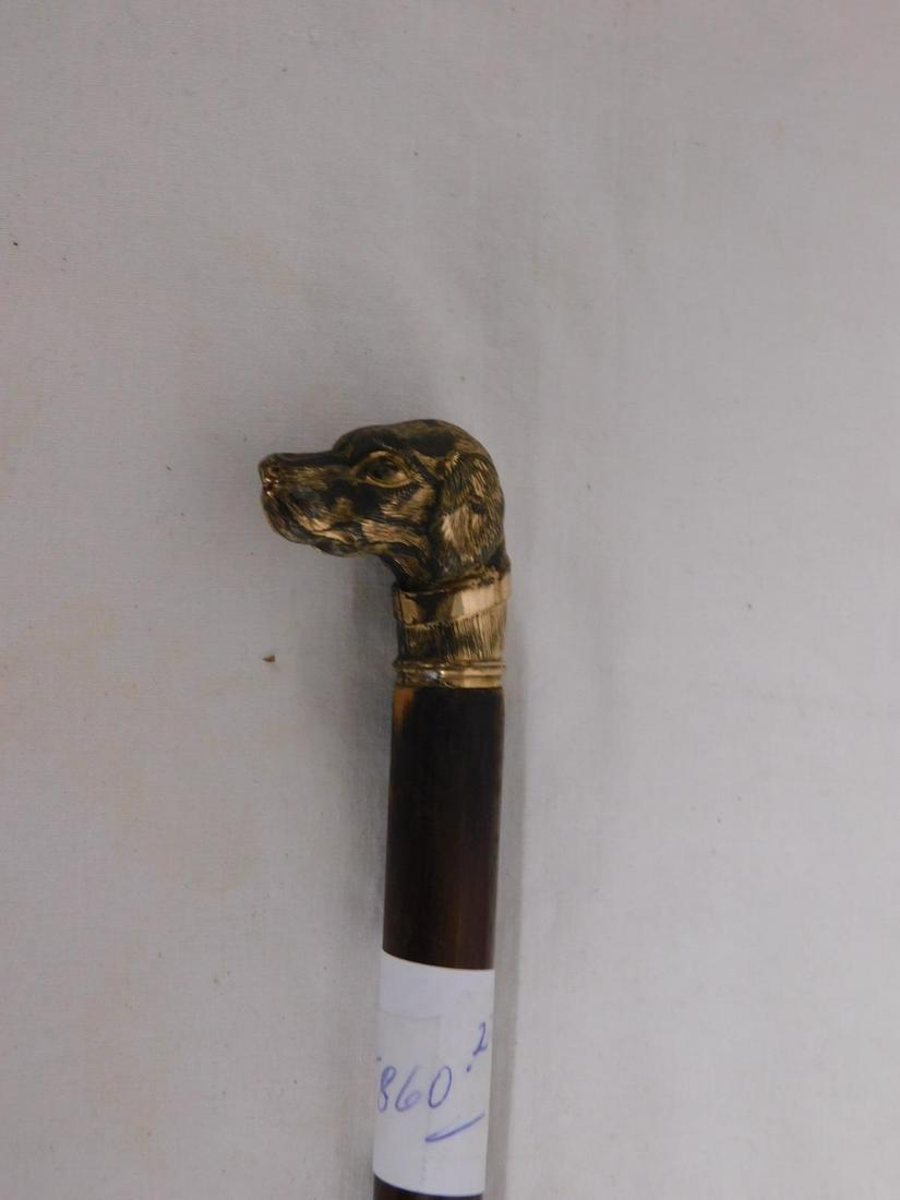 Lady's Dog Head Cane: Lady's Dog Head Cane. Handle: Good plated metal dog head, 1"l. Collar: Gold plated band. Shaft: Two tone hard wood. Ferrule: Brass and iron. Length: 28 1/8". Vintage: Early 20th C. [27] CONDITION: Gol