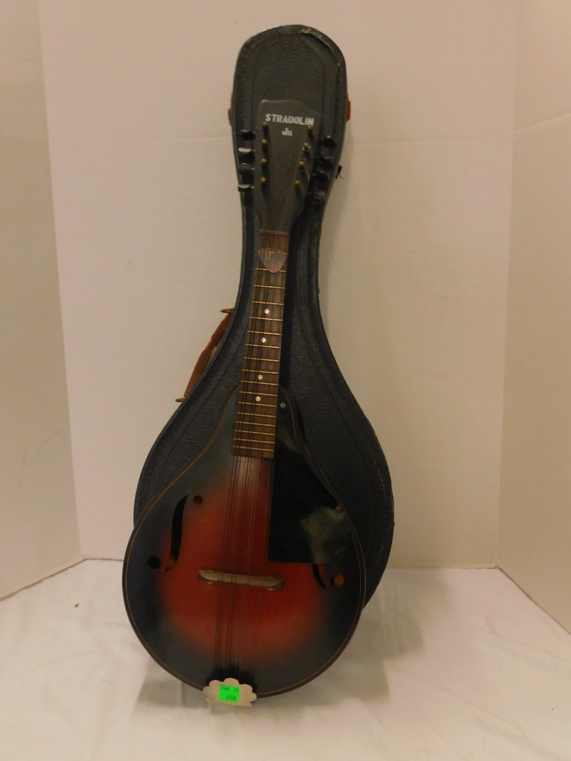 Stradolin Jr. Mandolin (1 of 4)