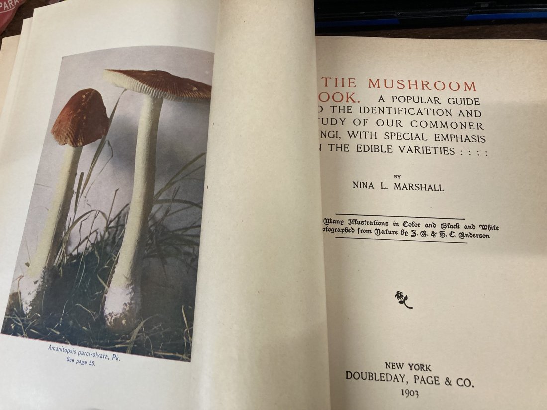 1 Volume The Mushroom Book by Nina L. Marshall (1 of 5)