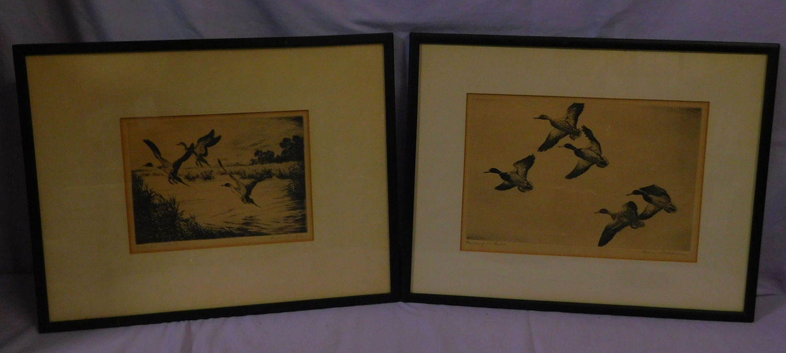 Pr Hans Kleiber Bird Etchings (1 of 9)