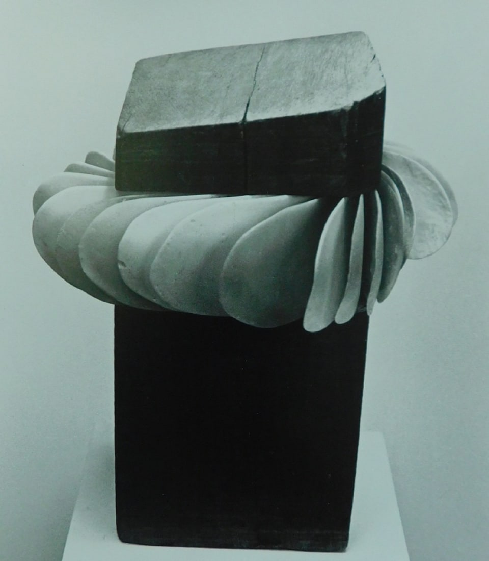Stephen Robin Wood + Shell Form Sculpture (1 of 7)