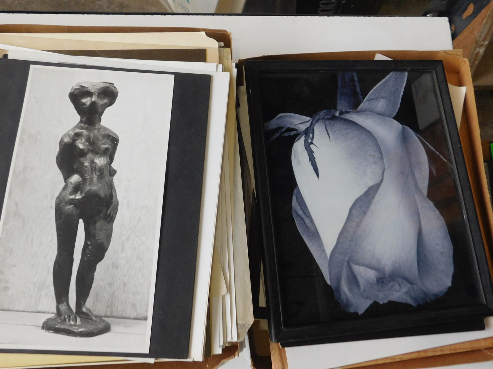 Lg Grouping S. Robin Sculpture Photos (1 of 10)