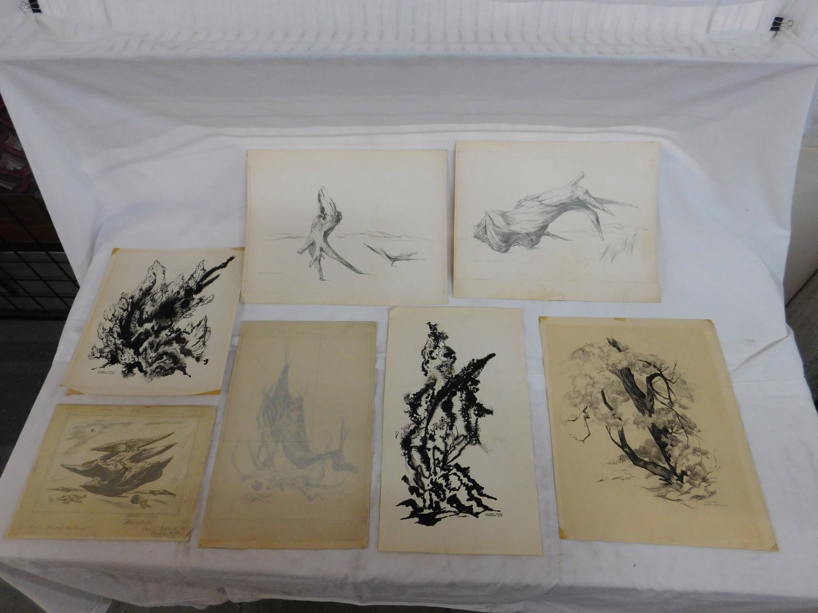 7 James Kirk Merrick; Nature Drawings: Seven James Kirk Merrick; Nature Drawings, Pa 1905-1985, all pencil or ink signed, on paper and or artist board, includes: trees, driftwood, star fish, etc. from 7 5/8" x 10" to 11 1/8" x 14 1/8". CON
