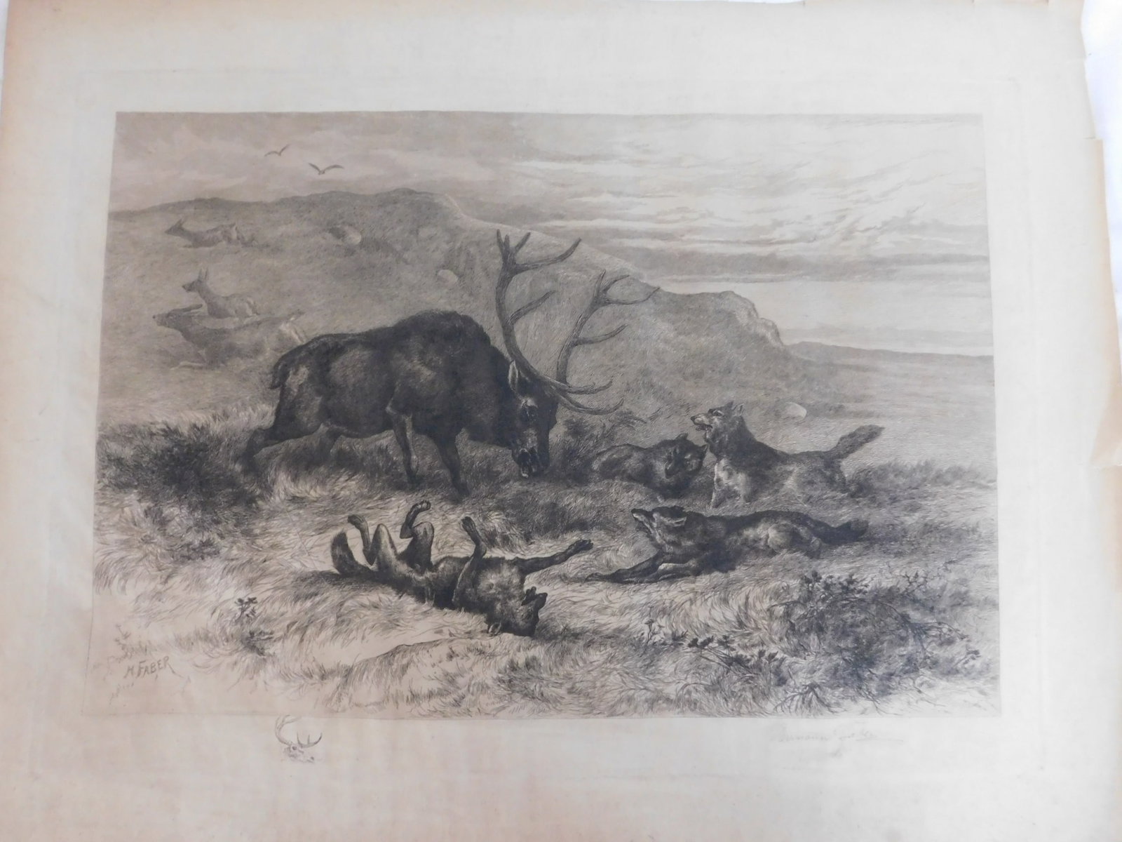 Herman Faber, Etching (1 of 5)