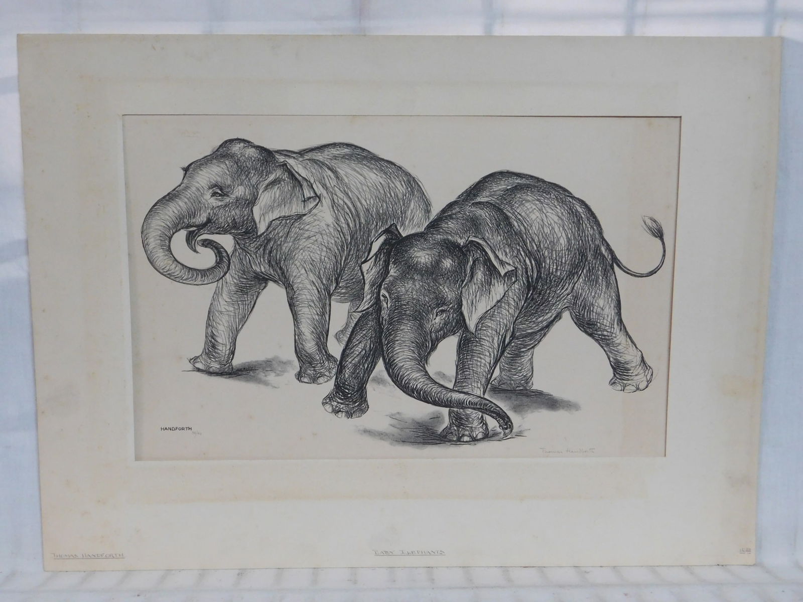 Thomas Scofield Handforth, Elephants (1 of 4)