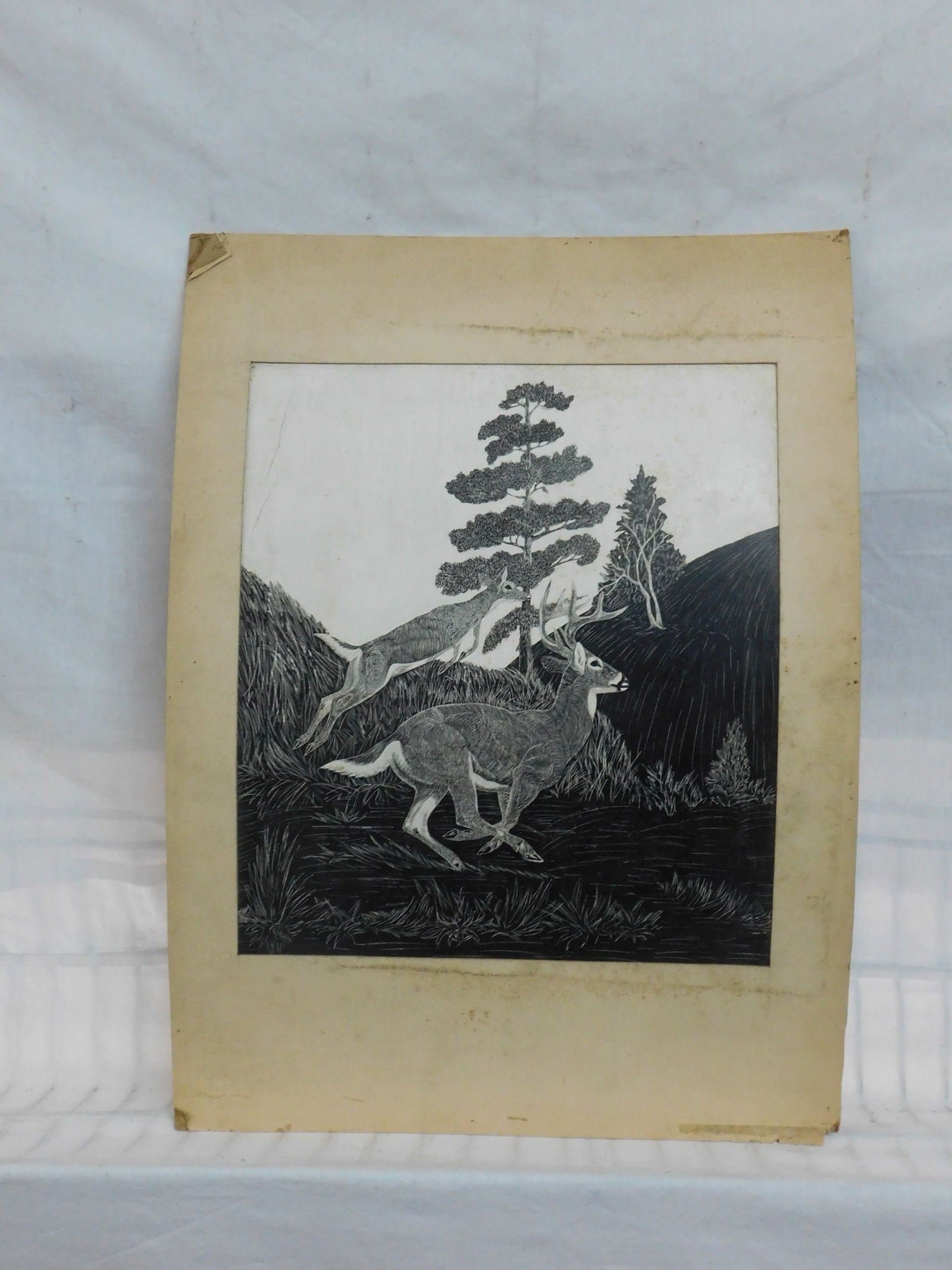 Pauline Hohing, Ink Scratch: Pauline Hohing, Ink Scratch, Scholastic Art Awards, signed label on verso; titled "Roaming of the Wild" with running deer; sight 12 /12 x 11", unframed in mat 19 1/2" x 14". [128]CONDITION: Good; mat