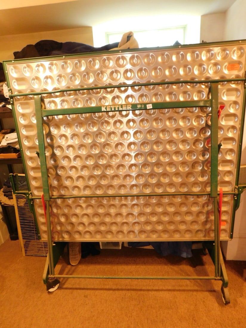 Kettler Ping Pong table (1 of 1)