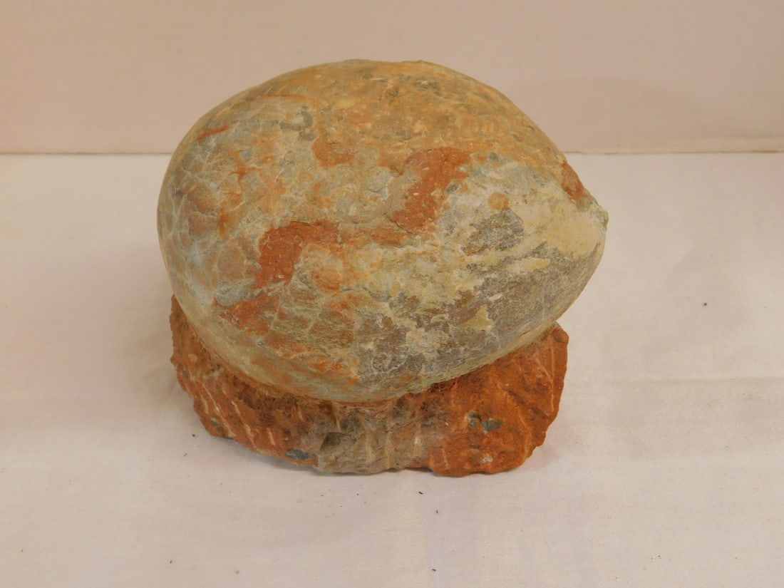 Prehistoric Egg (1 of 5)