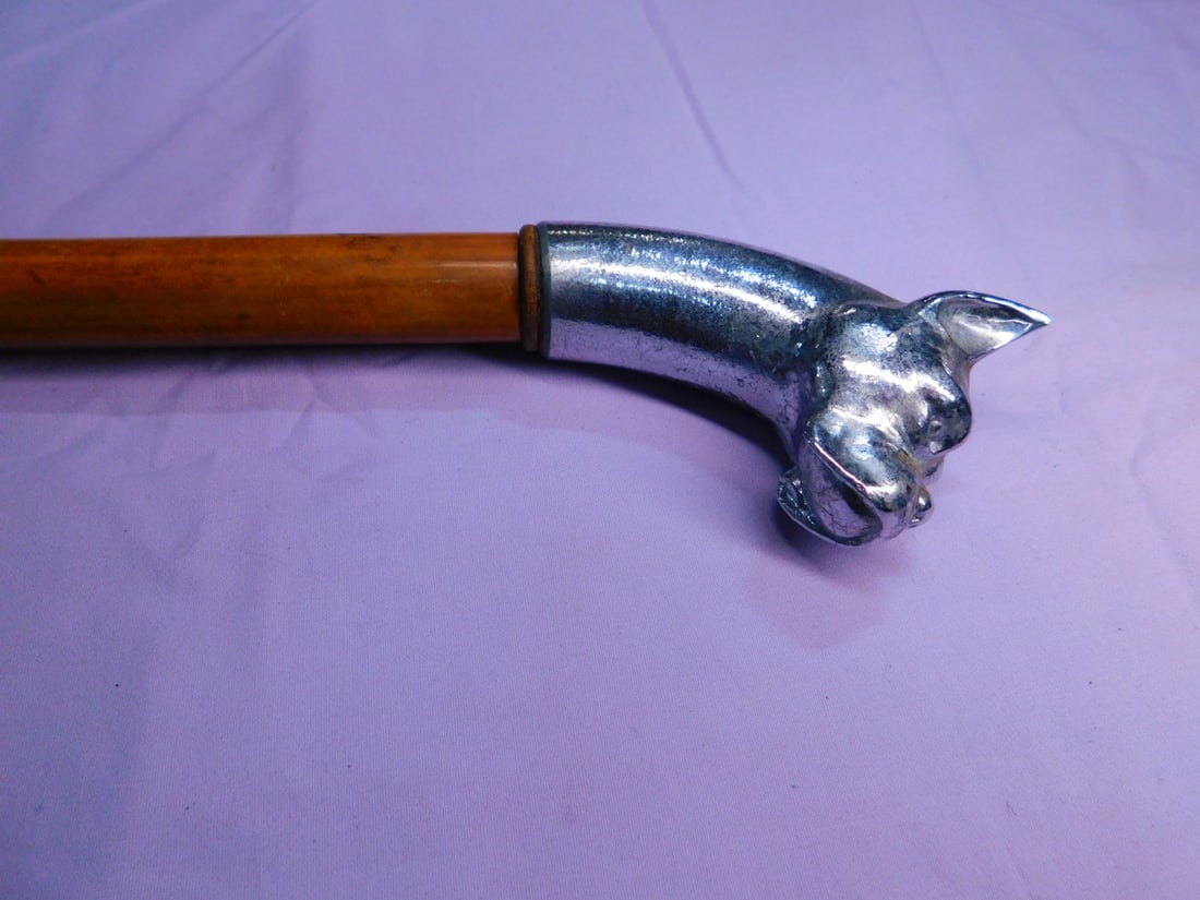 Bull Dog Head Cane (1 of 4)