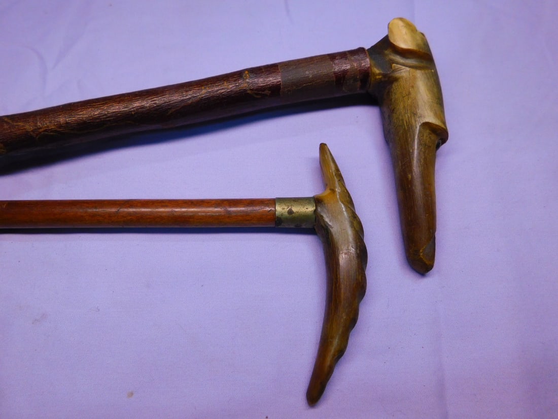 Dog &Other Canes (1 of 5)