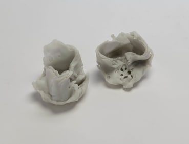Fahan McDonagh - 2 Fossils