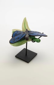 John Choi-Butterfly