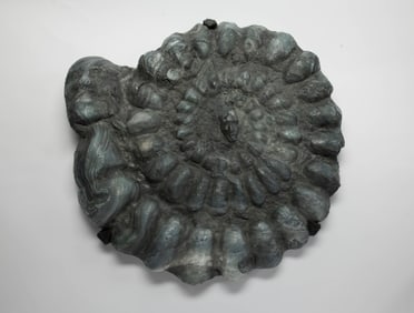 Large Shield Form Plaque