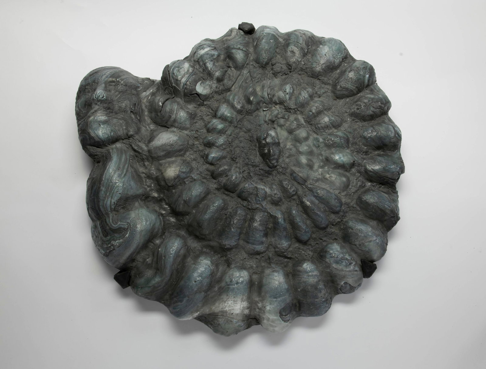 Large Shield Form Plaque (1 of 5)