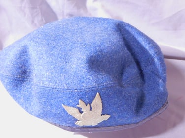 Israel, Air Force Cap & Badge