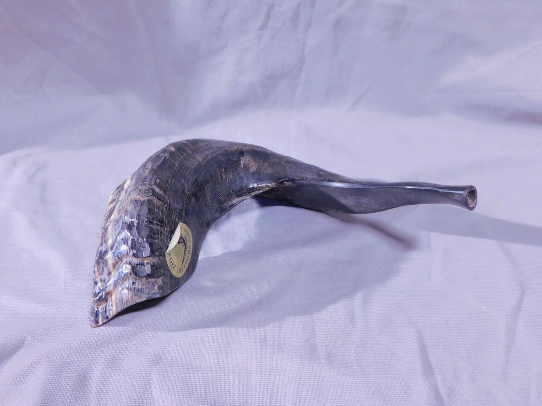 Shofar: Shofar, dark tone ram's horn, approx. 10", with Israel label. [66] CONDITION: Very good.