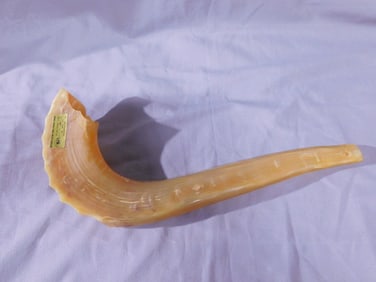 Shofar