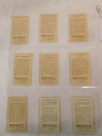 9 Recruit T81 Military Series Cards