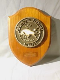 Bronze U.S. Navy Ship Plaque