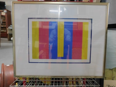 Spectrum Colors Framed Print